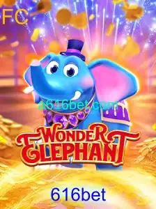 Explorando o Fascinante Mundo de WonderElephant